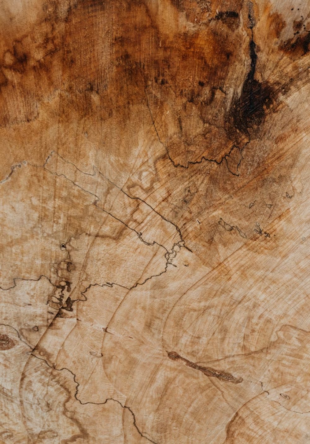 Wood texture for sustainability