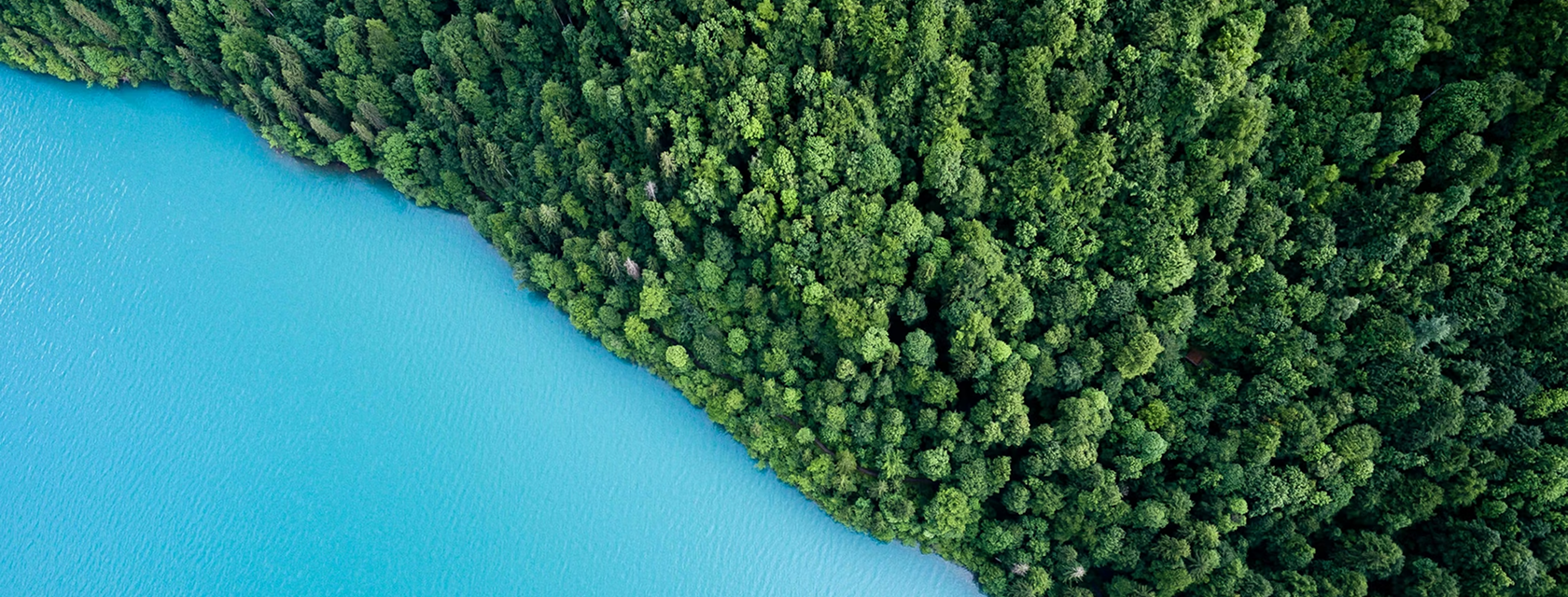 Trees and crystal clear lake